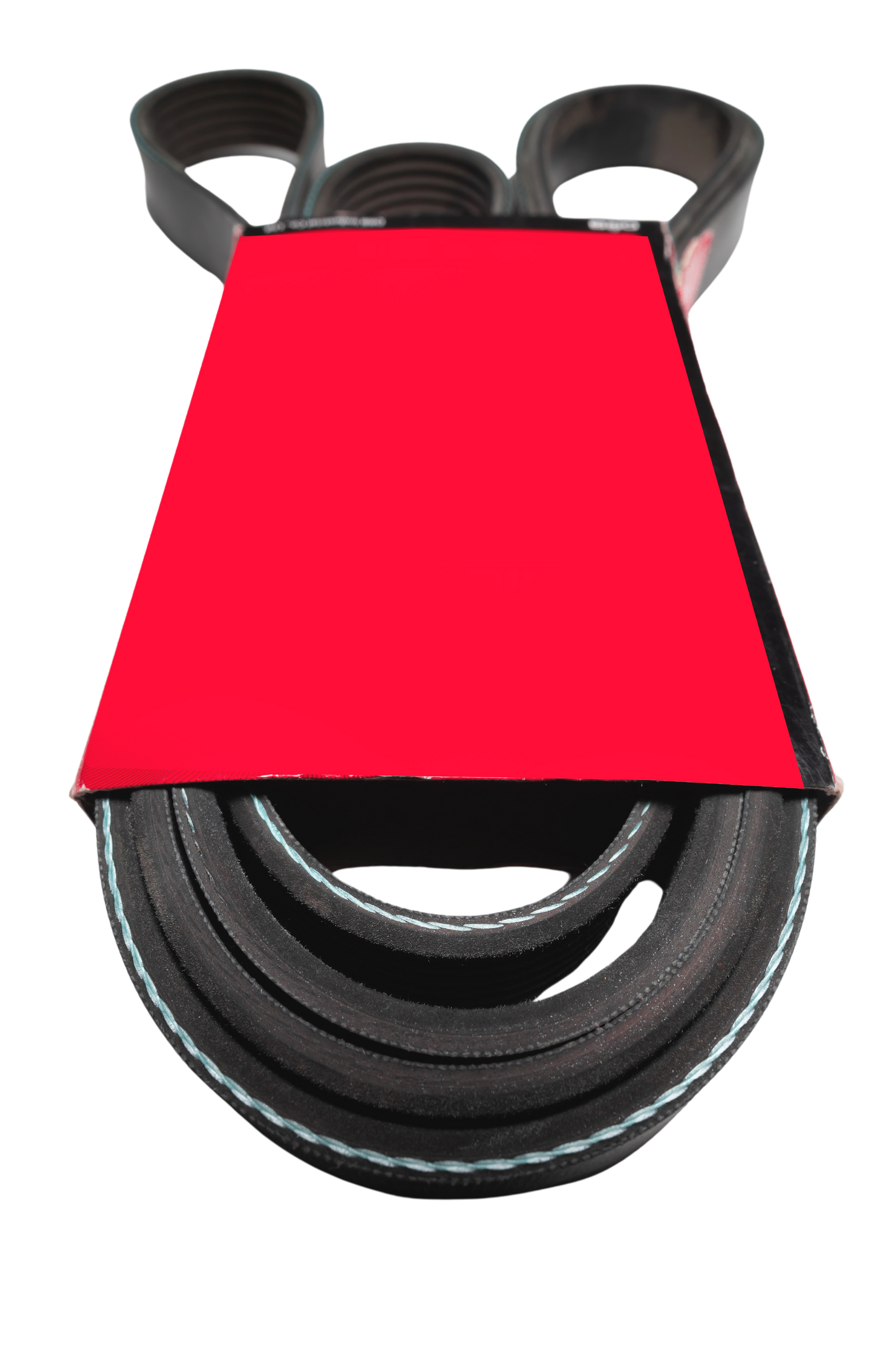 K080865 Tectonic Serpentine Belt