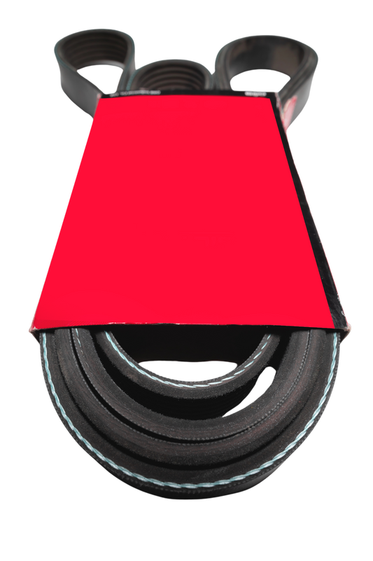 K060988 Tectonic Serpentine Belt